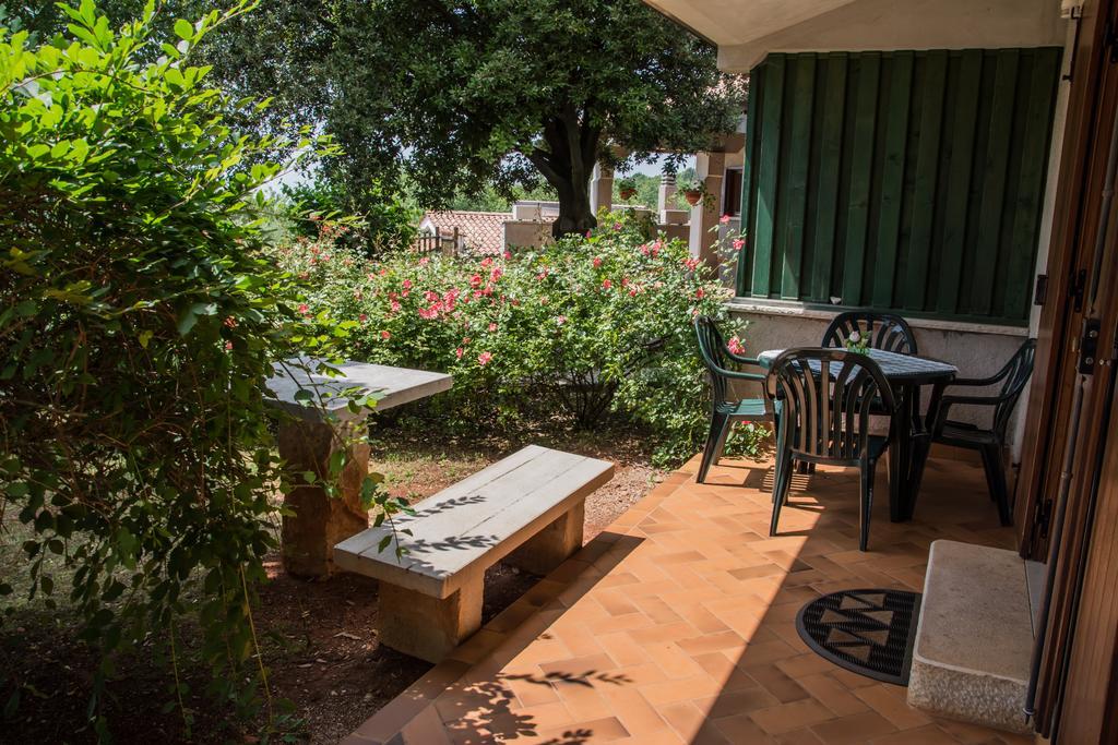 Vila Terra Del Carso San Pelagio Exteriér fotografie