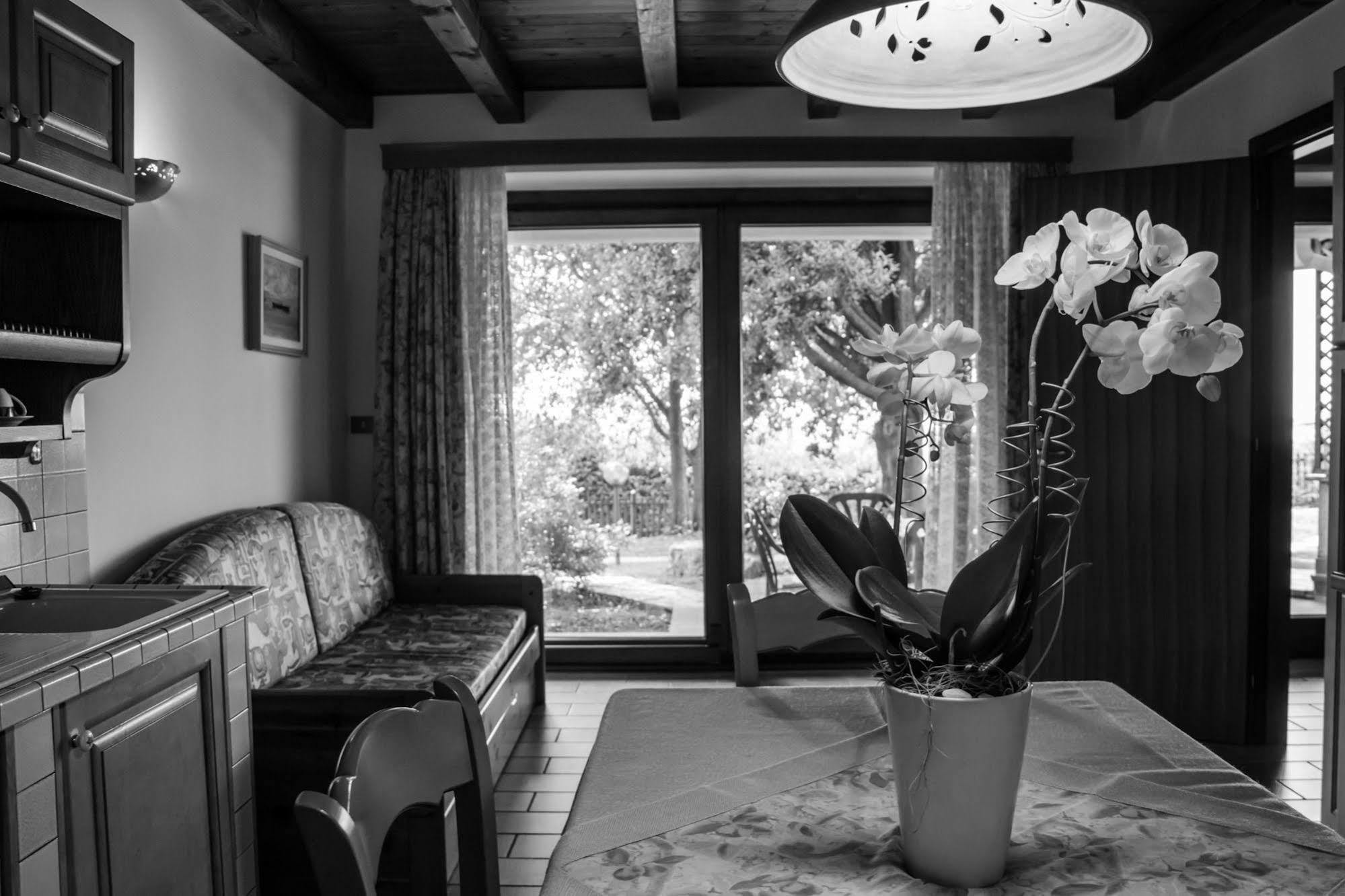 Vila Terra Del Carso San Pelagio Exteriér fotografie